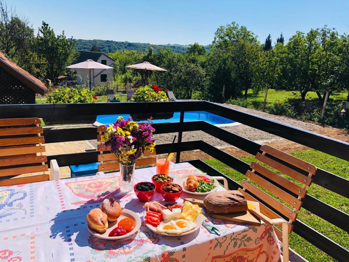Sremska KamenicaFruska Pool House别墅 外观 照片