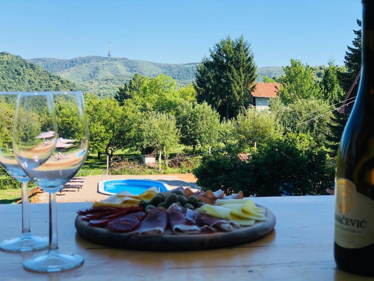 Sremska KamenicaFruska Pool House别墅 外观 照片