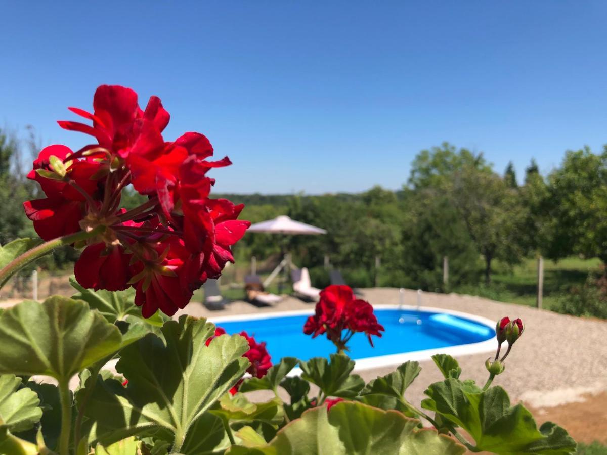 Sremska KamenicaFruska Pool House别墅 外观 照片