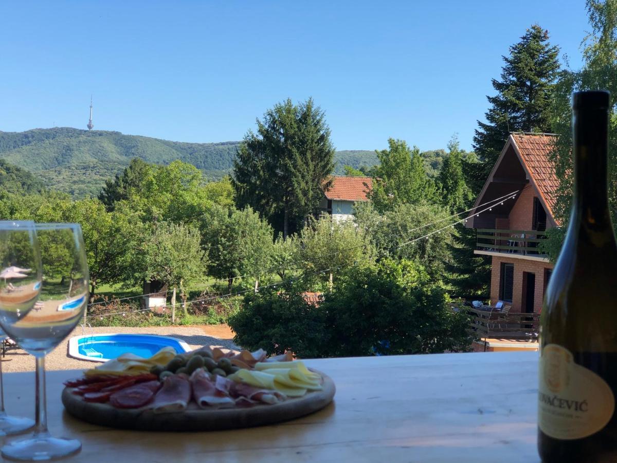 Sremska KamenicaFruska Pool House别墅 外观 照片