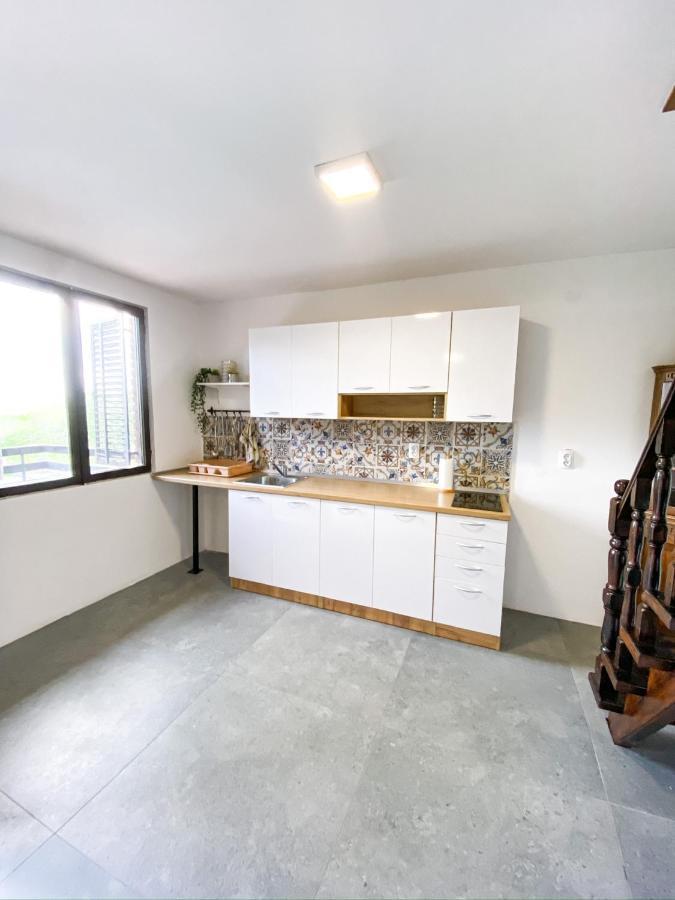 Sremska KamenicaFruska Pool House别墅 外观 照片
