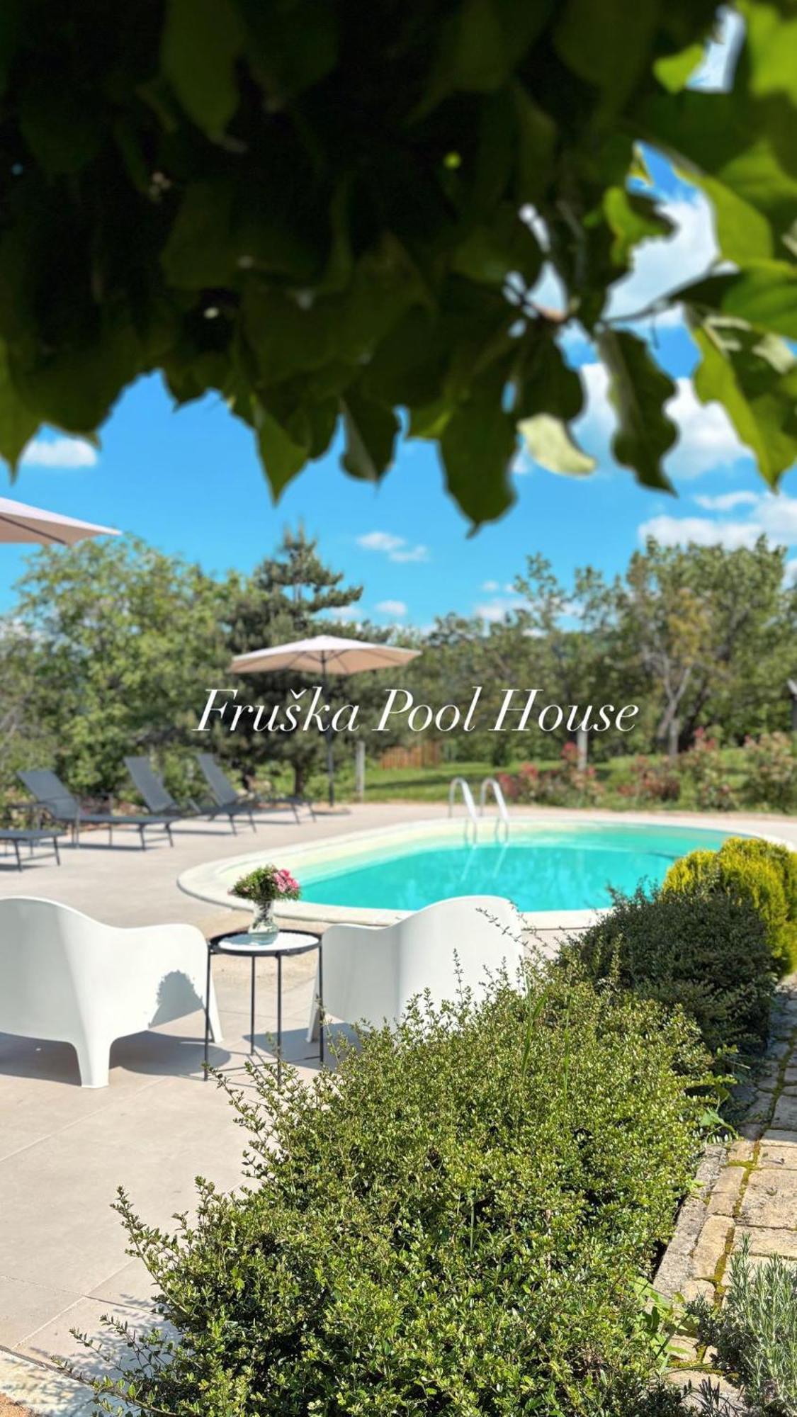 Sremska KamenicaFruska Pool House别墅 外观 照片