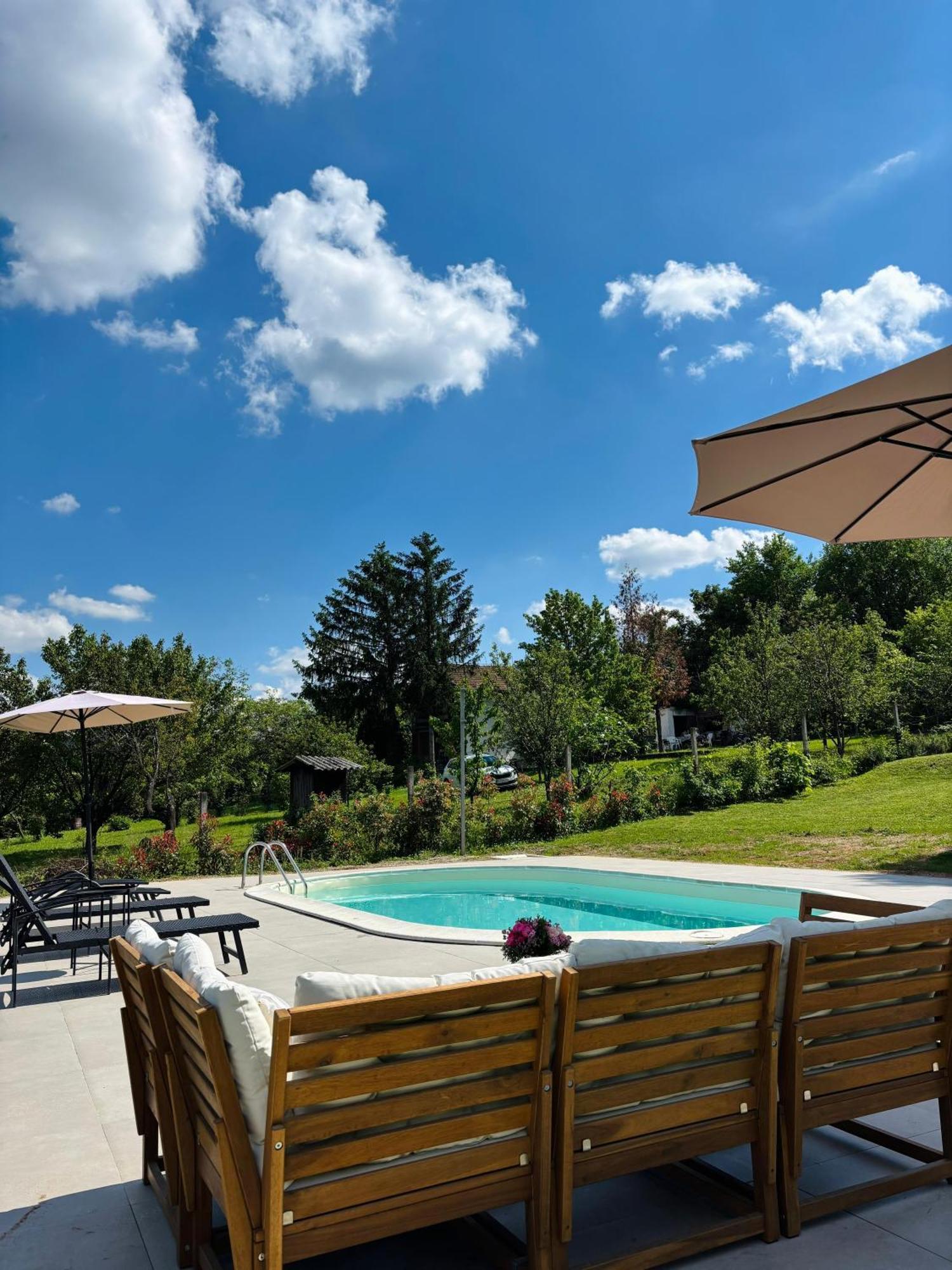 Sremska KamenicaFruska Pool House别墅 外观 照片