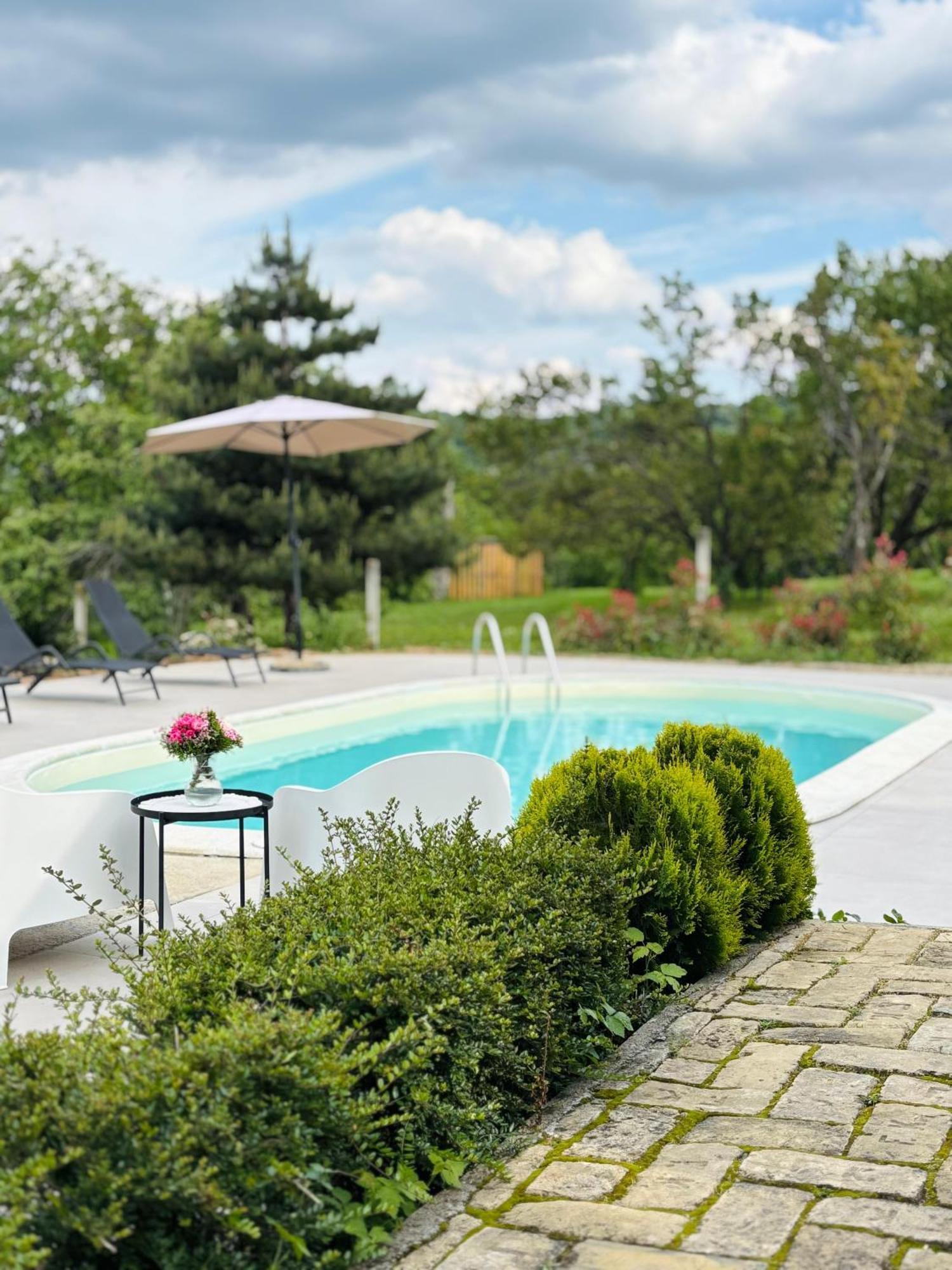 Sremska KamenicaFruska Pool House别墅 外观 照片