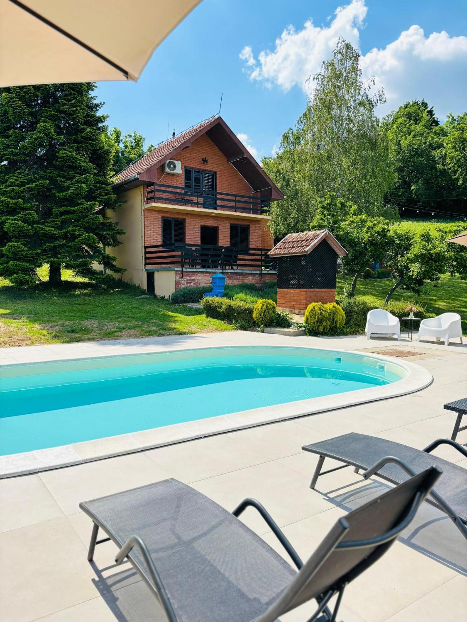Sremska KamenicaFruska Pool House别墅 外观 照片